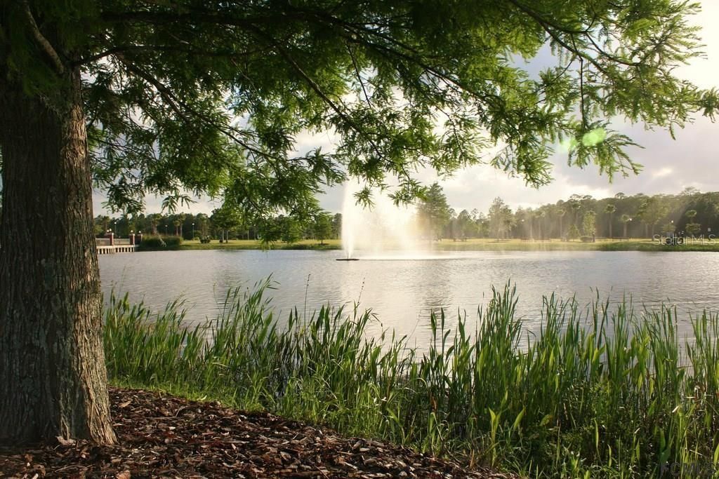 En Venta: $81,000 (0.23 acres)