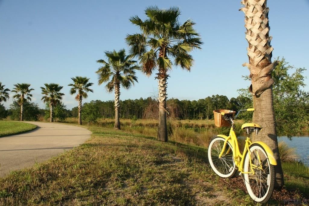 En Venta: $81,000 (0.23 acres)