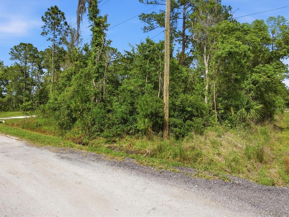 待售: $45,000 (0.26 acres)
