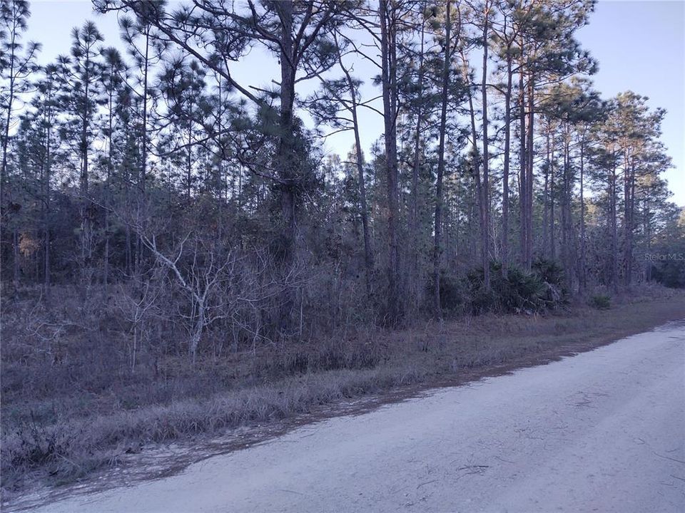 For Sale: $74,900 (1.16 acres)