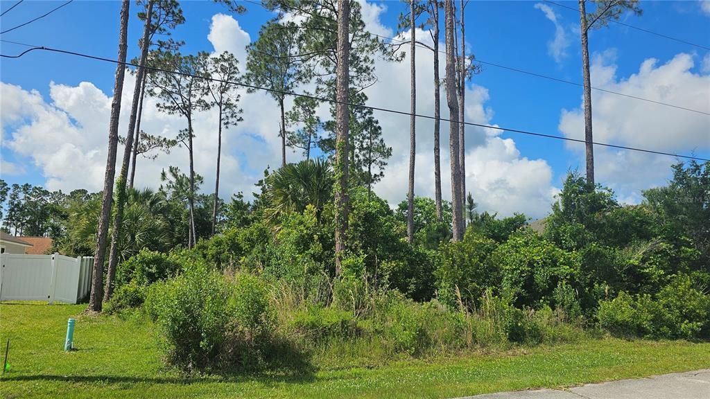 For Sale: $75,000 (0.23 acres)