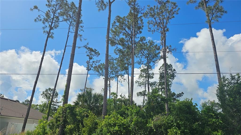 For Sale: $75,000 (0.23 acres)