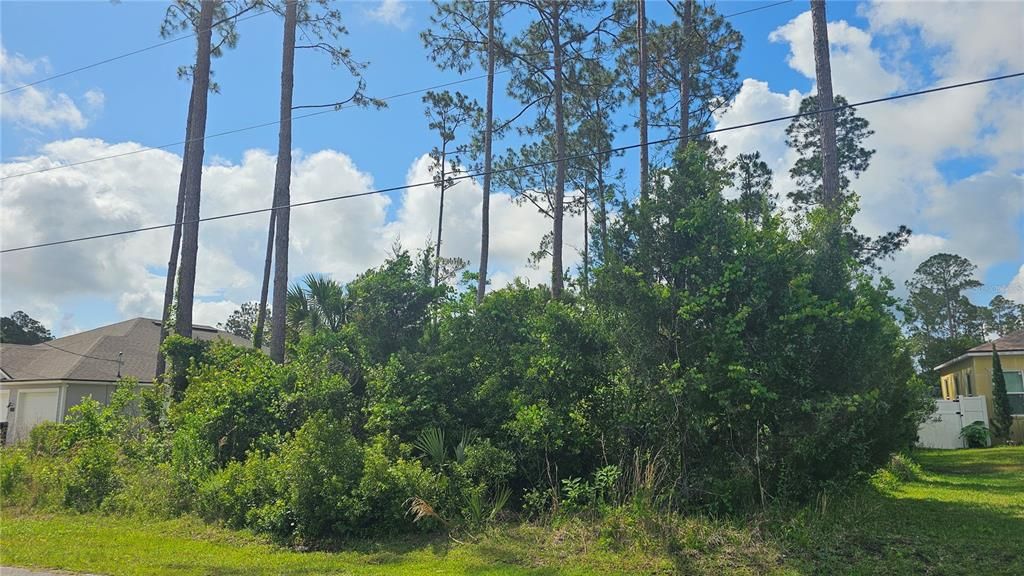 For Sale: $75,000 (0.23 acres)