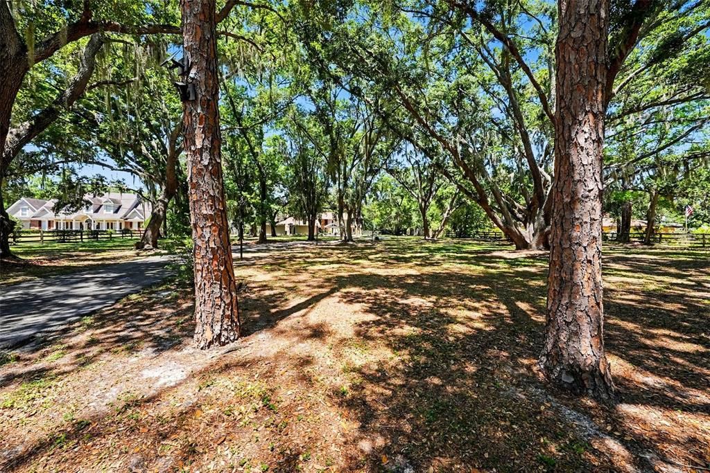 Activo con contrato: $1,150,000 (5 camas, 4 baños, 5217 Pies cuadrados)