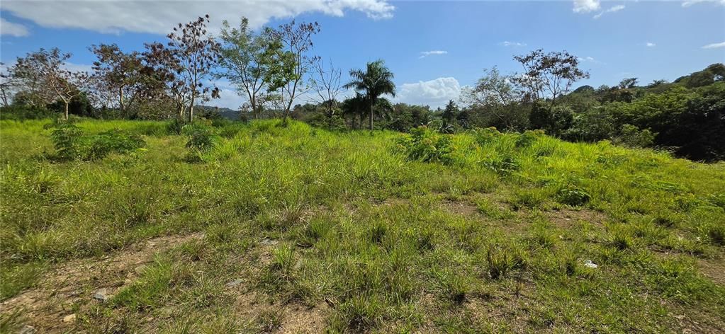 待售: $1,200,000 (6.38 acres)