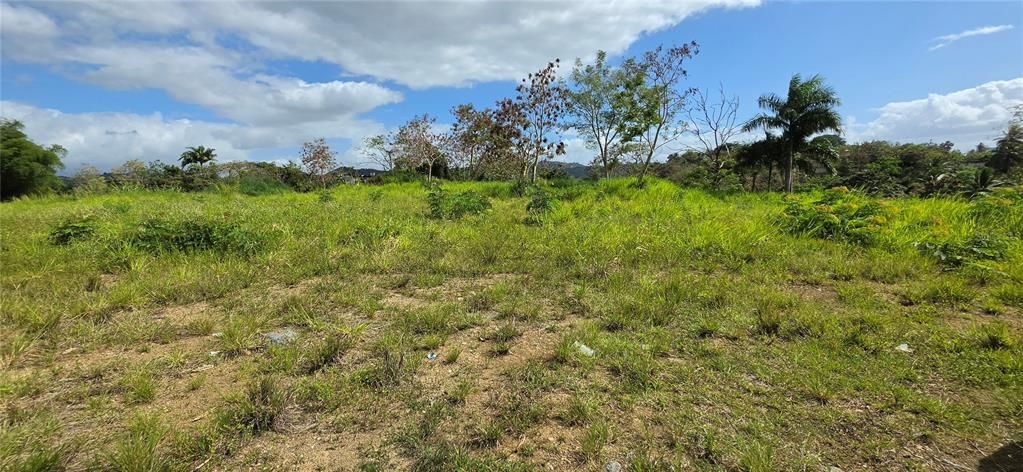 待售: $1,200,000 (6.38 acres)