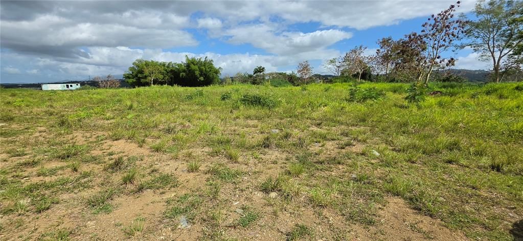 待售: $1,200,000 (6.38 acres)