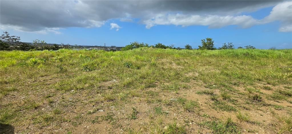待售: $1,200,000 (6.38 acres)