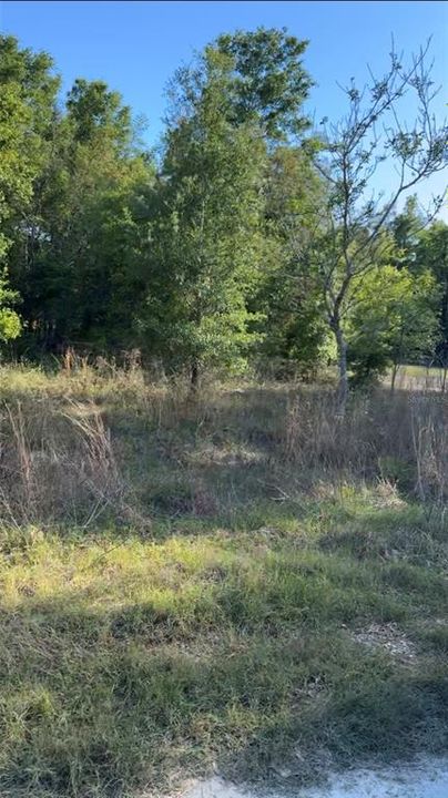На продажу: $12,000 (0.23 acres)