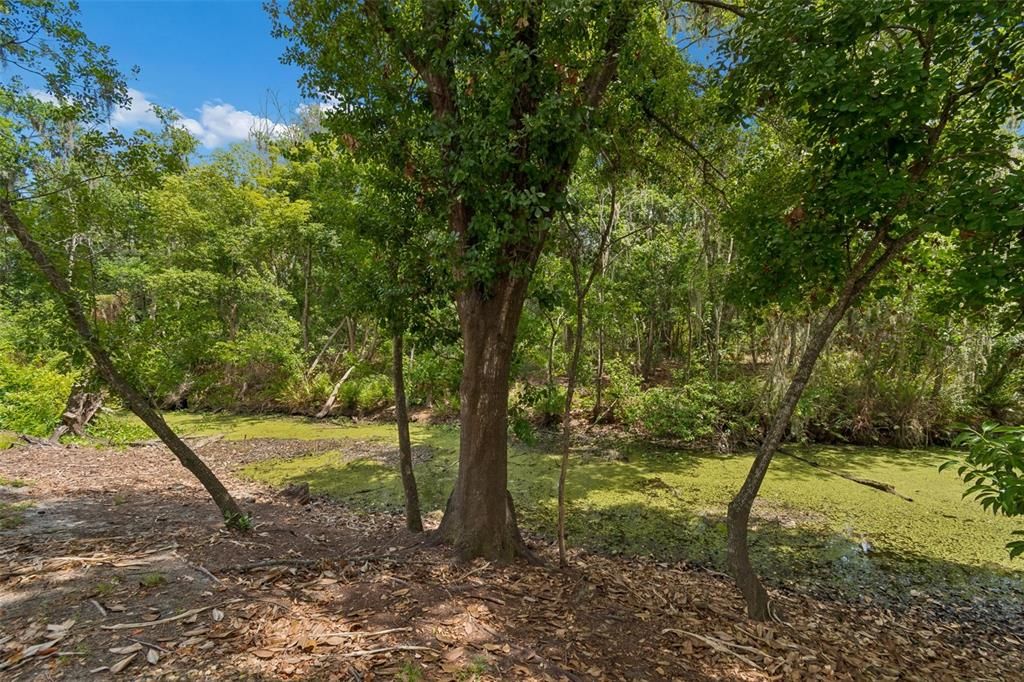 For Sale: $469,000 (3 beds, 2 baths, 1700 Square Feet)