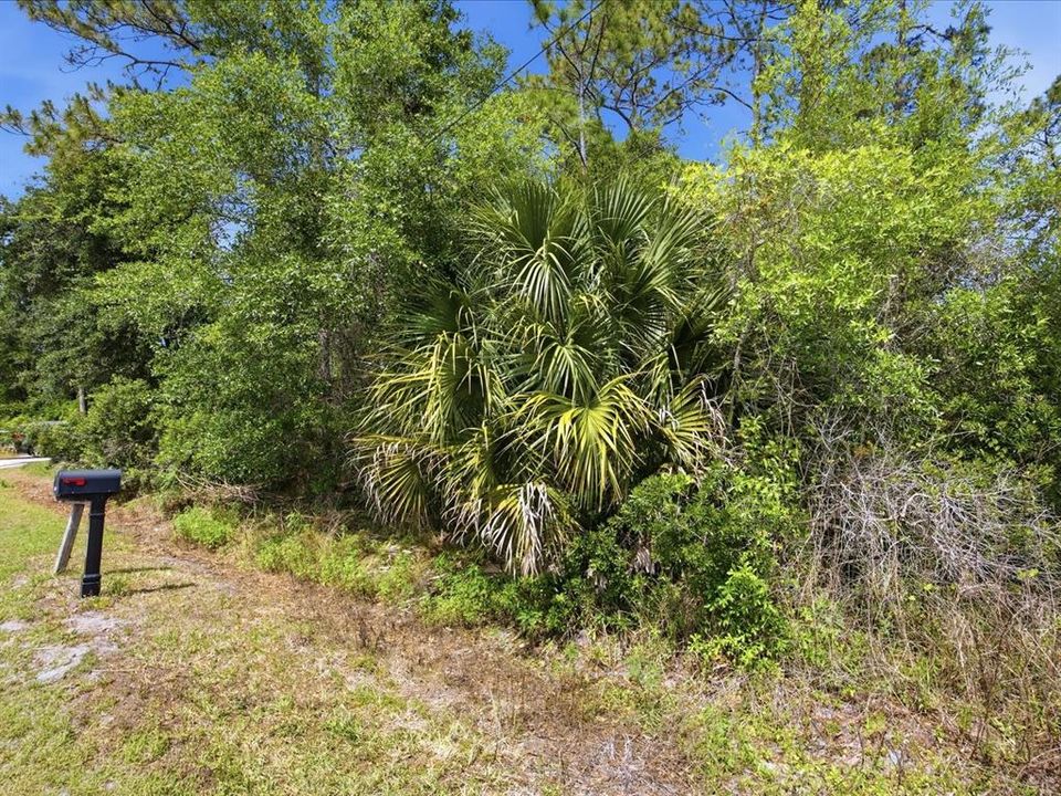 待售: $45,000 (0.31 acres)