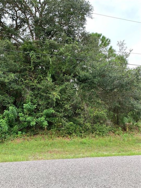 На продажу: $39,998 (0.49 acres)
