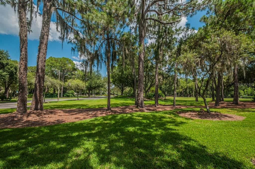 Activo con contrato: $684,900 (4 camas, 3 baños, 2347 Pies cuadrados)