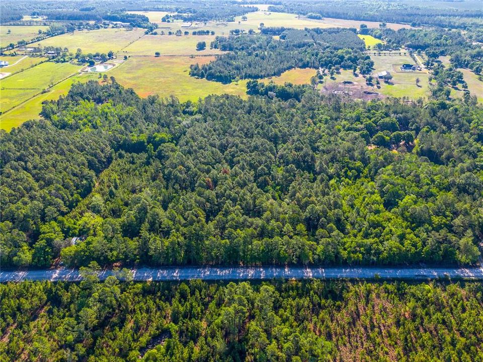 For Sale: $39,900 (1.00 acres)