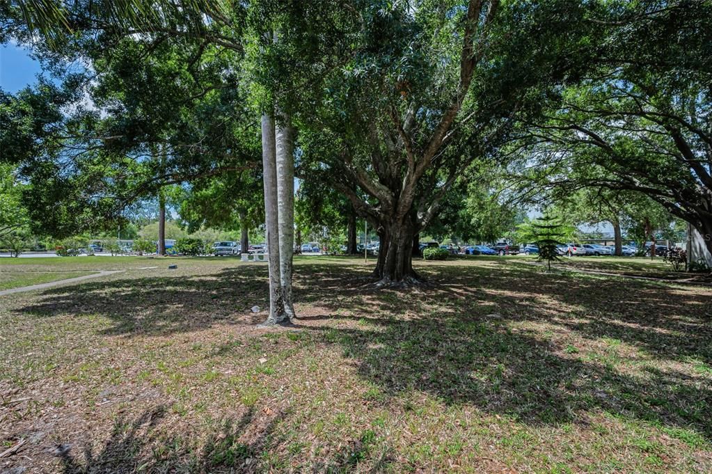 For Sale: $169,900 (2 beds, 1 baths, 904 Square Feet)