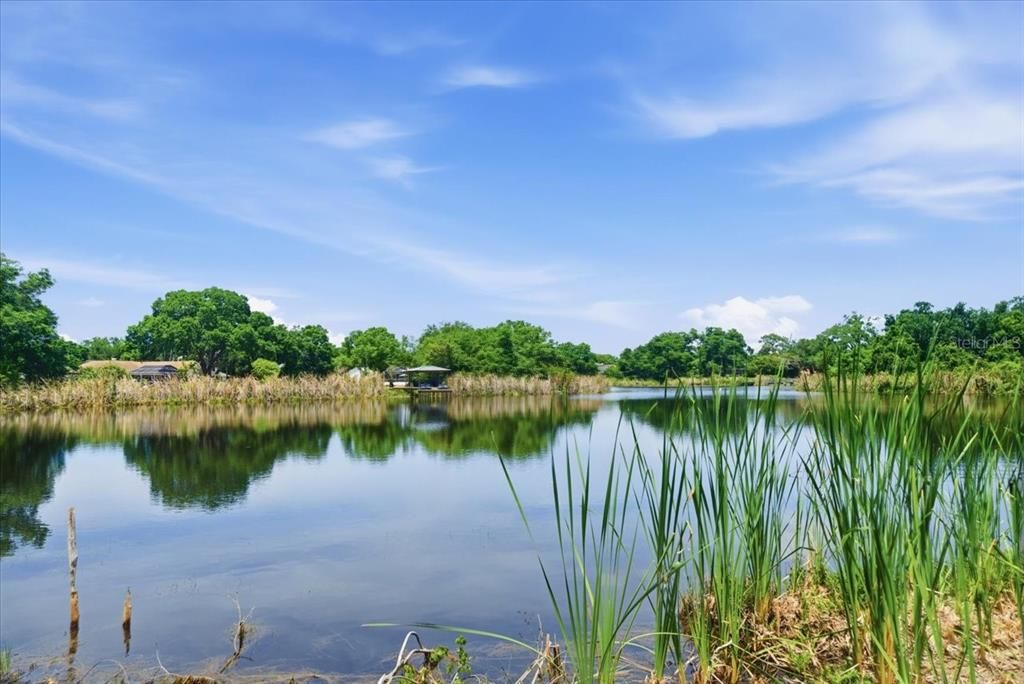 En Venta: $1,100,000 (8.26 acres)