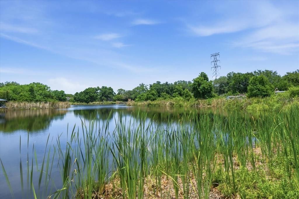 En Venta: $1,100,000 (8.26 acres)