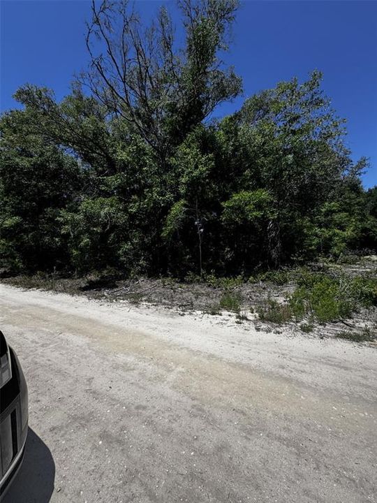 For Sale: $29,900 (0.23 acres)