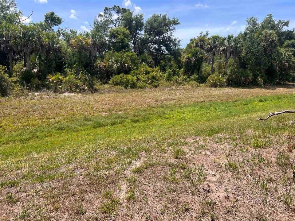 For Sale: $44,000 (0.20 acres)
