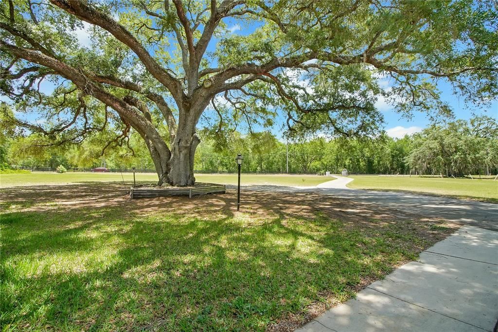 For Sale: $499,000 (4 beds, 2 baths, 2158 Square Feet)