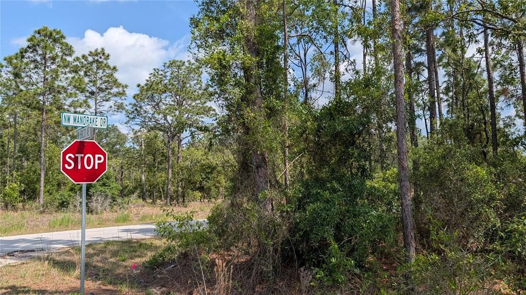 待售: $17,500 (0.24 acres)