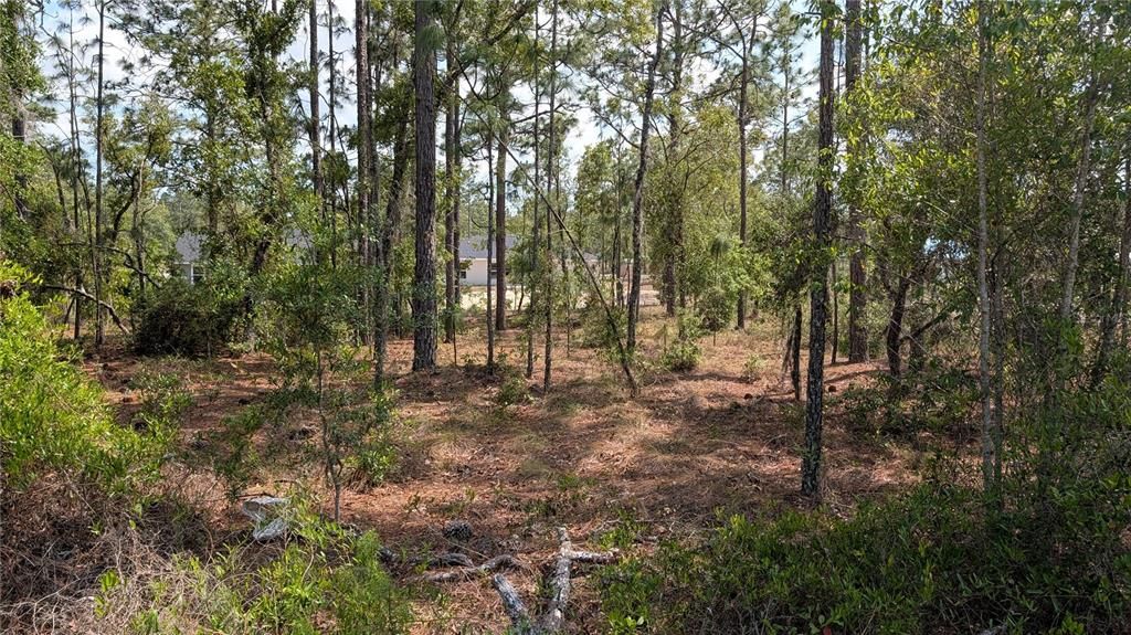 待售: $17,500 (0.24 acres)