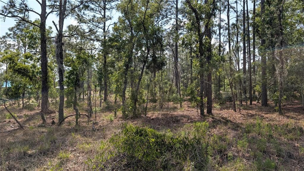 待售: $17,500 (0.24 acres)