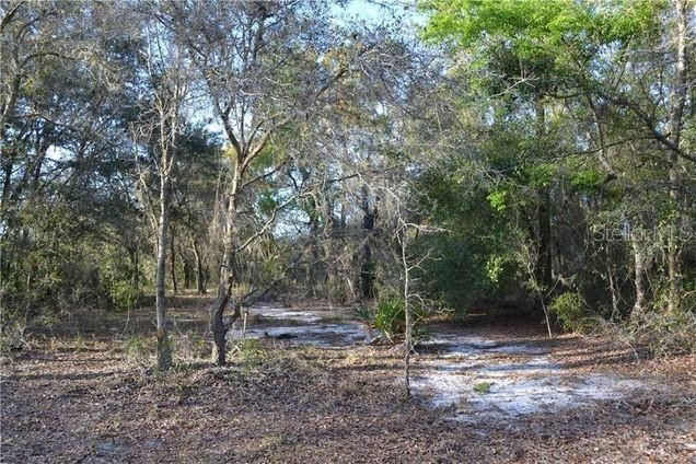 For Sale: $19,000 (0.36 acres)