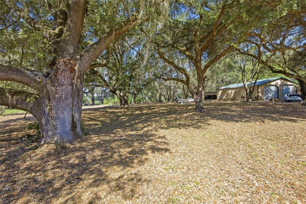 For Sale: $399,000 (3 beds, 2 baths, 1061 Square Feet)