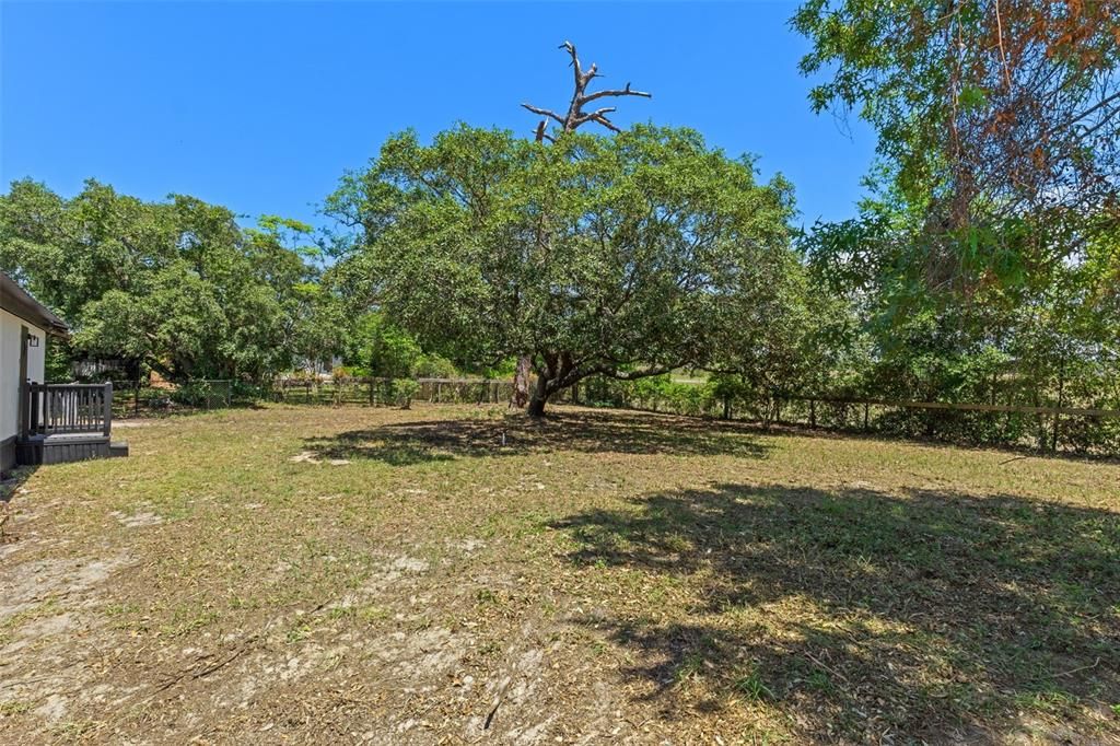 Active With Contract: $179,900 (3 beds, 2 baths, 1352 Square Feet)