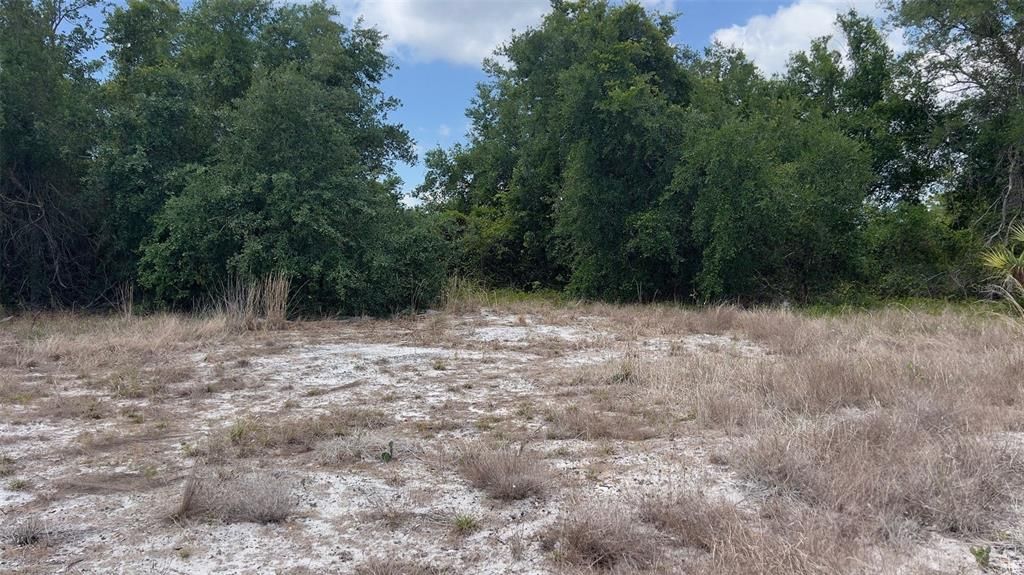 For Sale: $20,000 (0.14 acres)