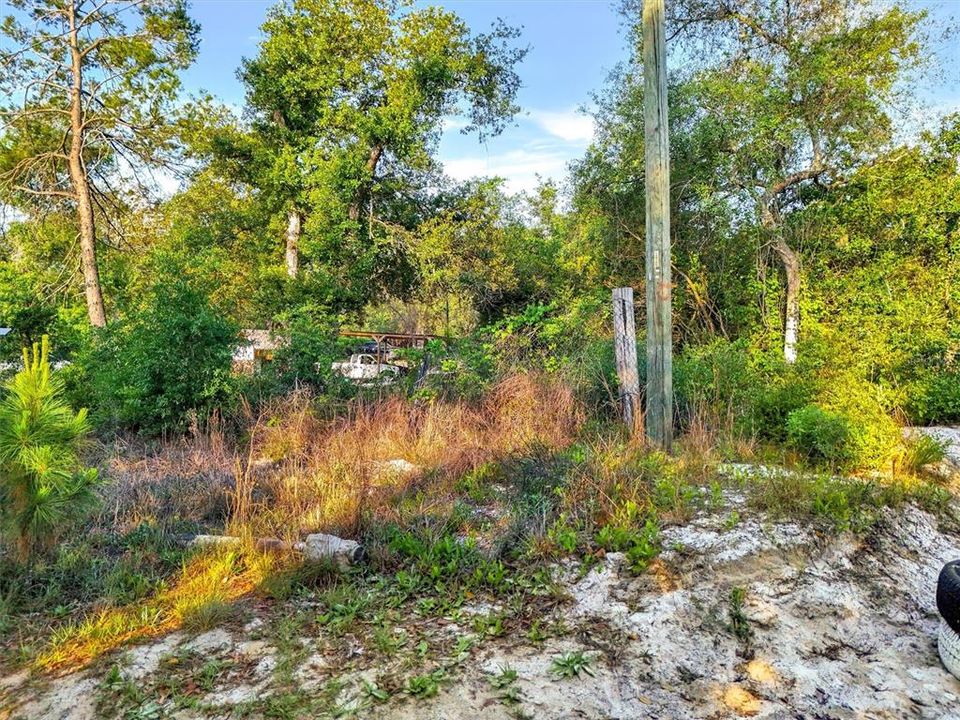 На продажу: $60,000 (1.85 acres)
