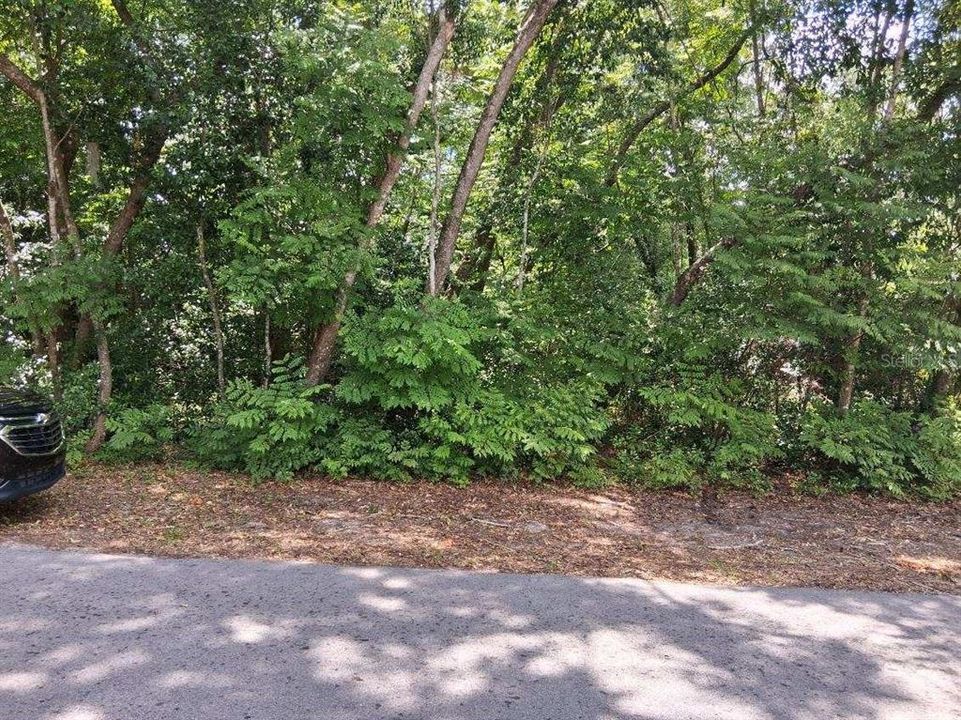 For Sale: $109,900 (1.03 acres)