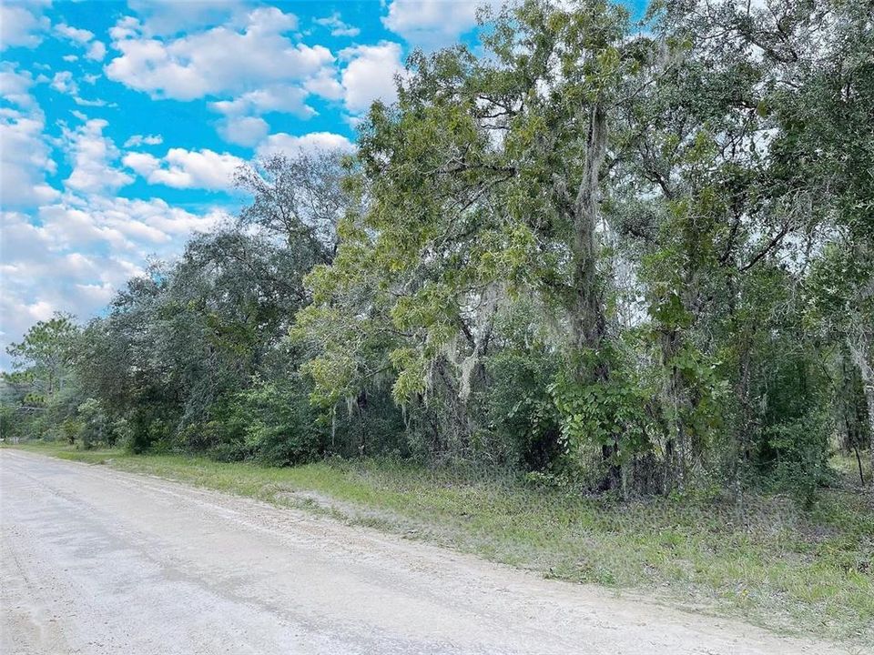 待售: $29,900 (1.25 acres)