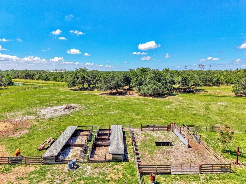На продажу: $995,900 (4 спален, 2 ванн, 2301 Квадратных фут)