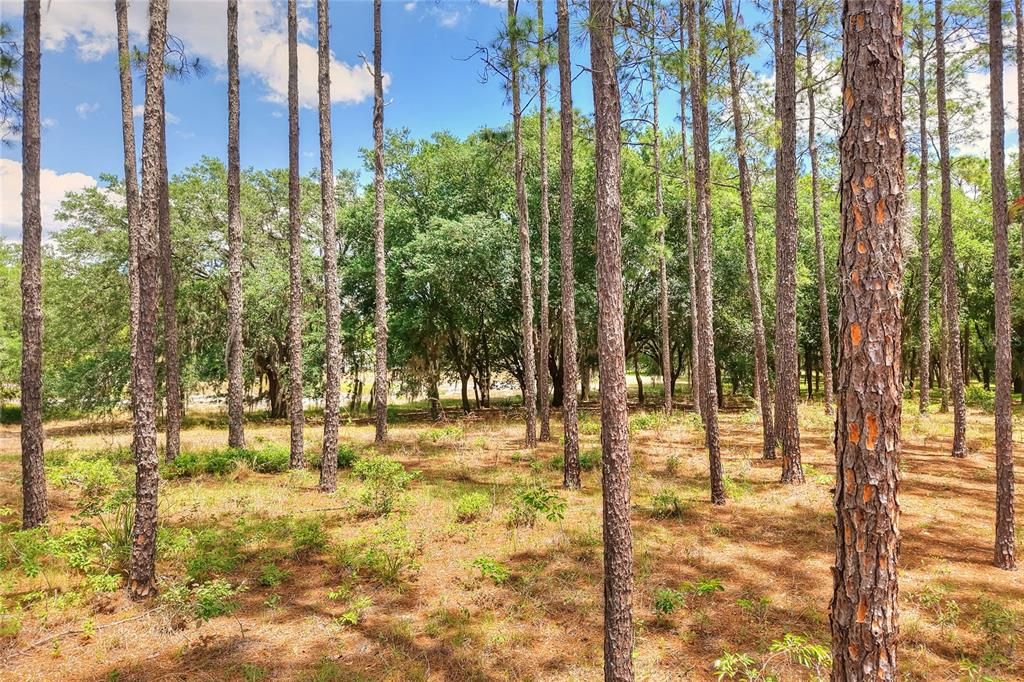 For Sale: $360,000 (1 beds, 1 baths, 640 Square Feet)