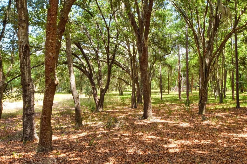 For Sale: $360,000 (10.00 acres)