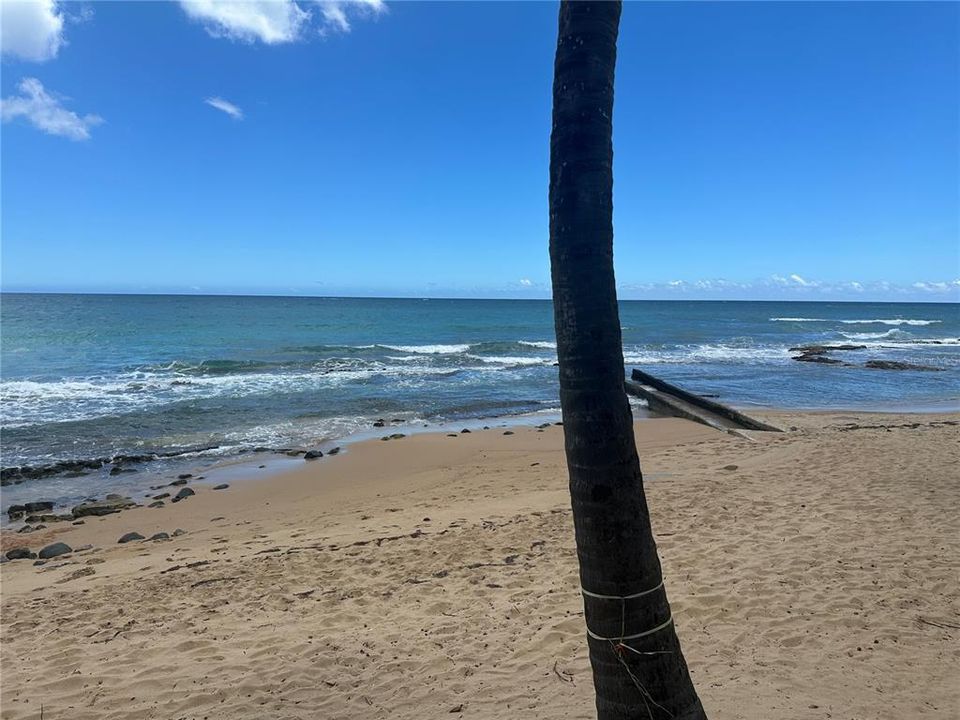 For Sale: $229,000 (1 beds, 1 baths, 398 Square Feet)