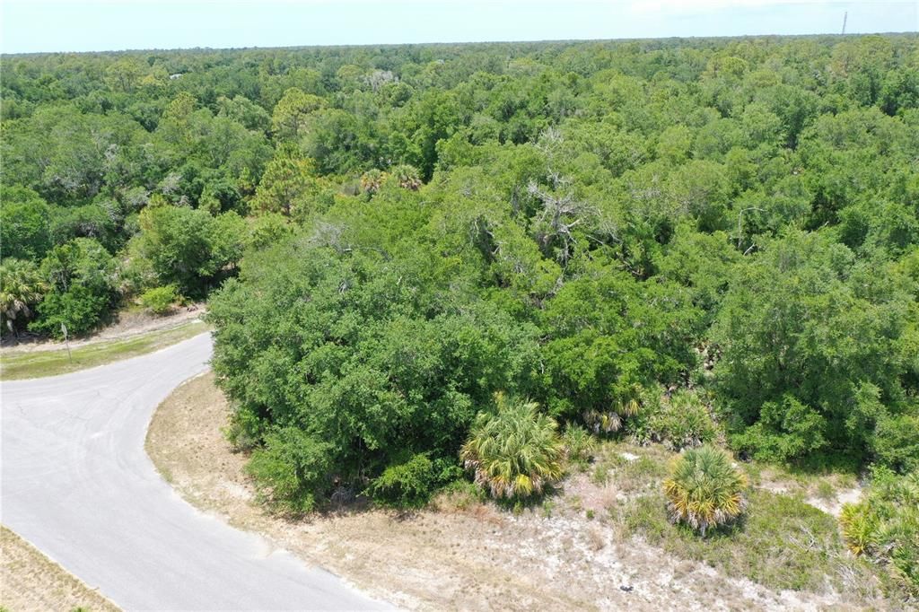 待售: $10,800 (0.25 acres)