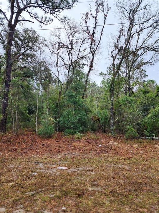 For Sale: $14,000 (0.20 acres)