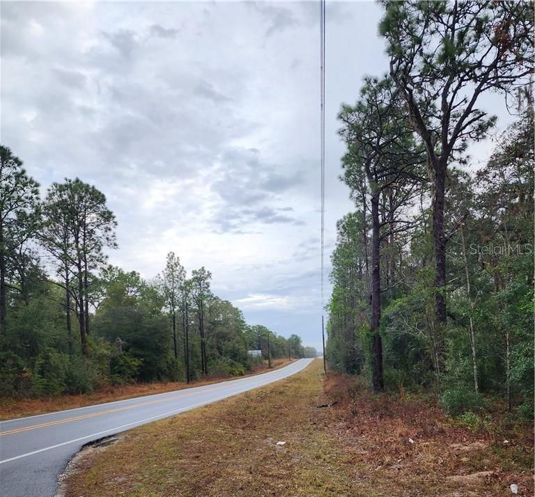 For Sale: $14,000 (0.20 acres)
