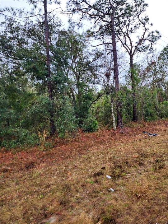 For Sale: $14,000 (0.20 acres)