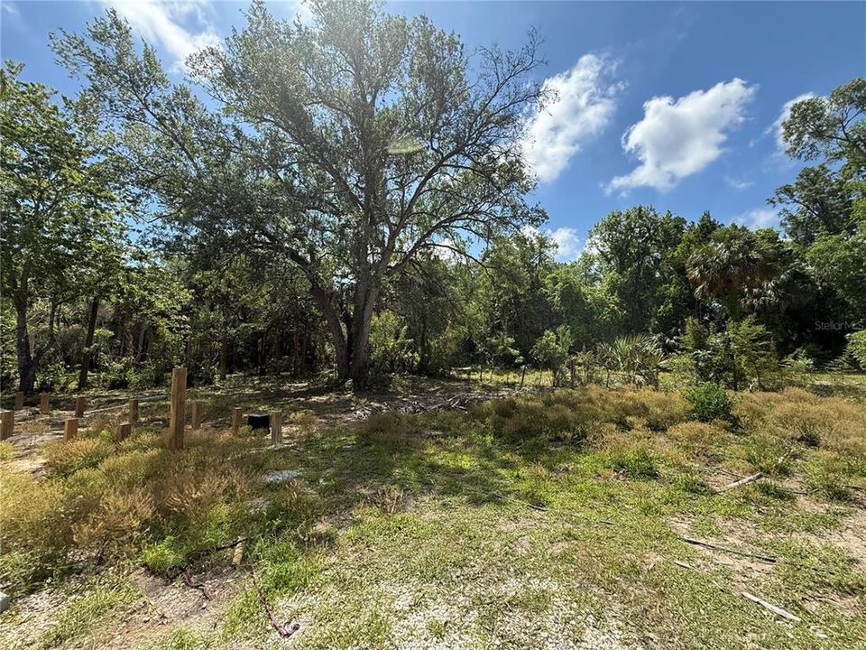 For Sale: $125,000 (3 beds, 1 baths, 960 Square Feet)