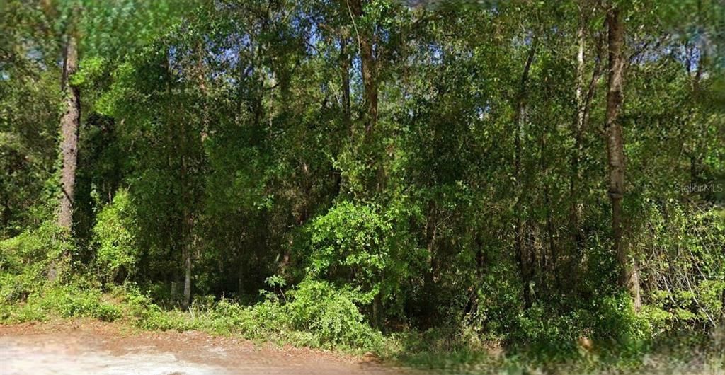 En Venta: $17,000 (0.28 acres)