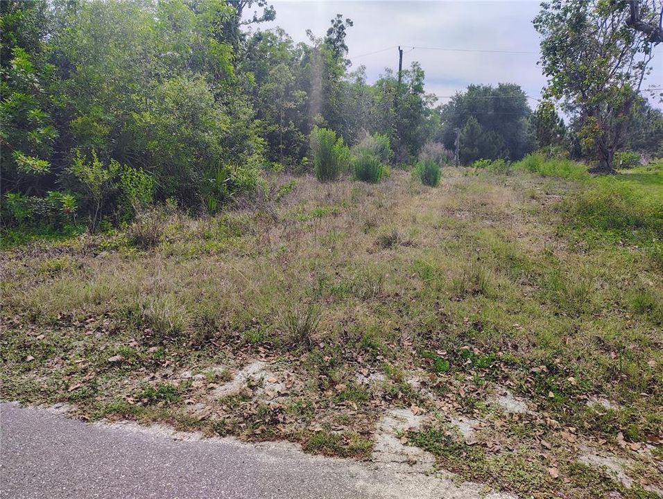 待售: $49,900 (0.19 acres)