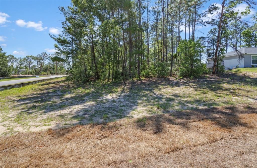 合同活跃: $49,500 (0.37 acres)