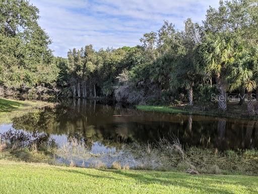 En Venta: $34,900 (0.33 acres)