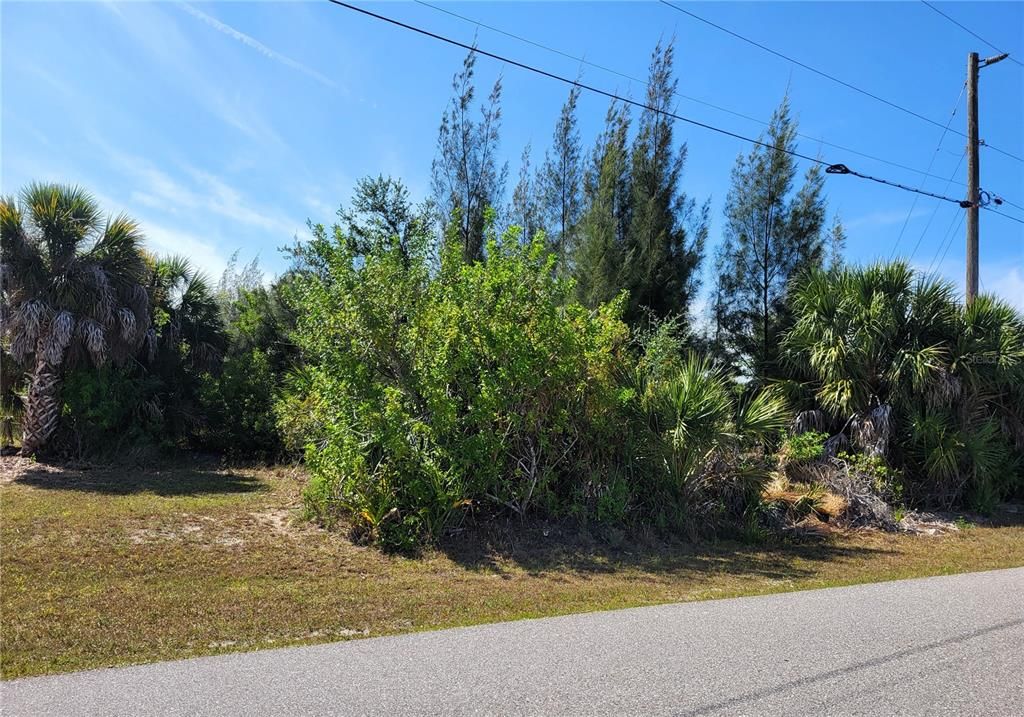 For Sale: $85,000 (0.23 acres)