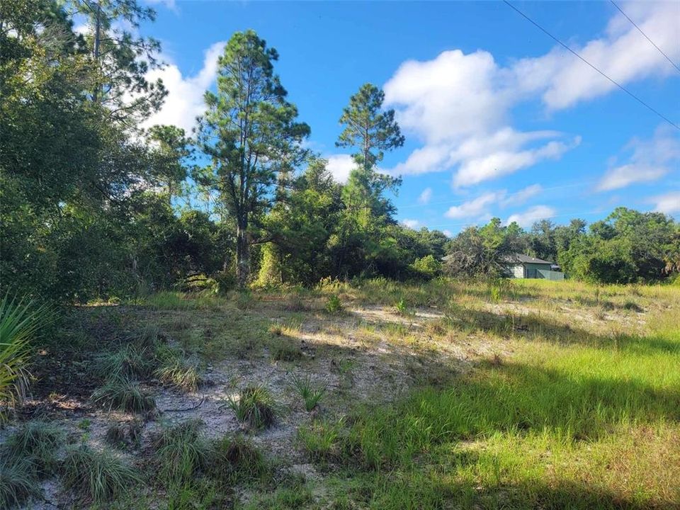 待售: $15,800 (0.23 acres)