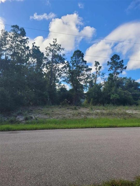 待售: $15,800 (0.23 acres)